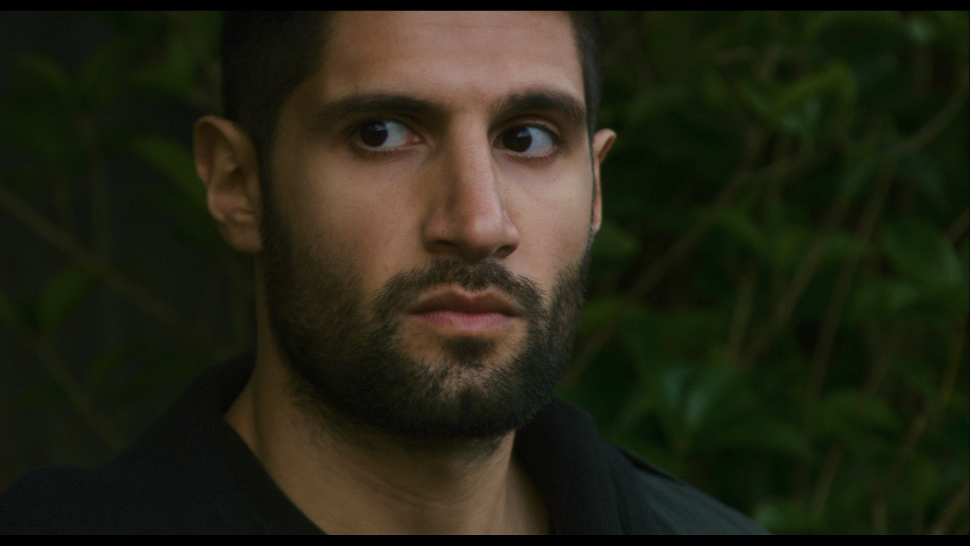 1920x1080 > Four Lions Wallpapers