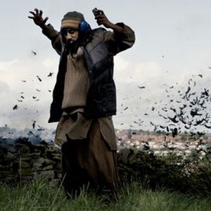 Images of Four Lions | 300x300