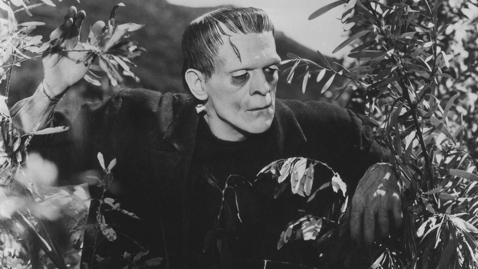 Frankenstein (1931) HD wallpapers, Desktop wallpaper - most viewed