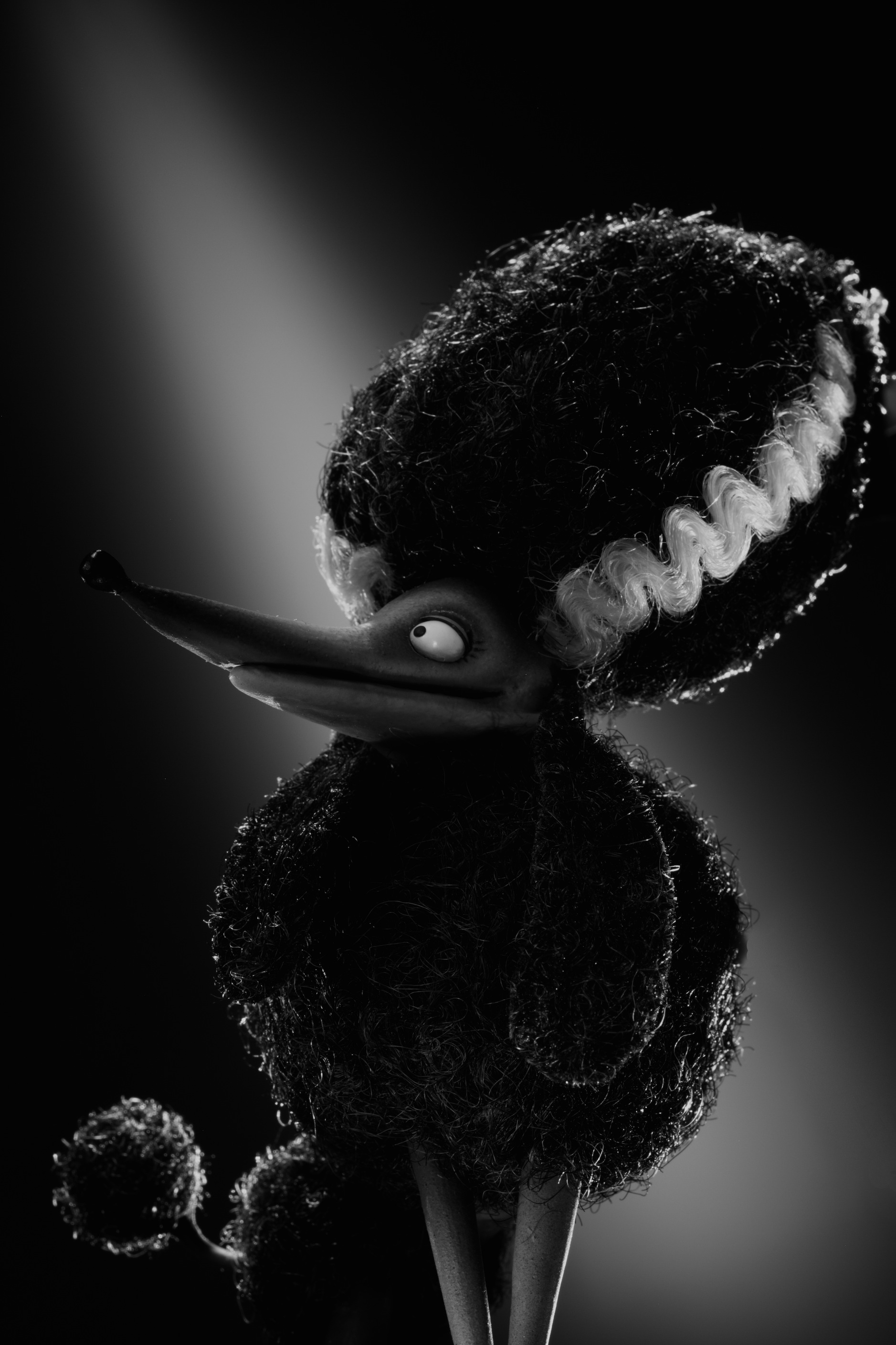 Frankenweenie Backgrounds, Compatible - PC, Mobile, Gadgets| 1877x2817 px