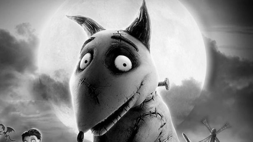 HD Quality Wallpaper | Collection: Movie, 876x493 Frankenweenie