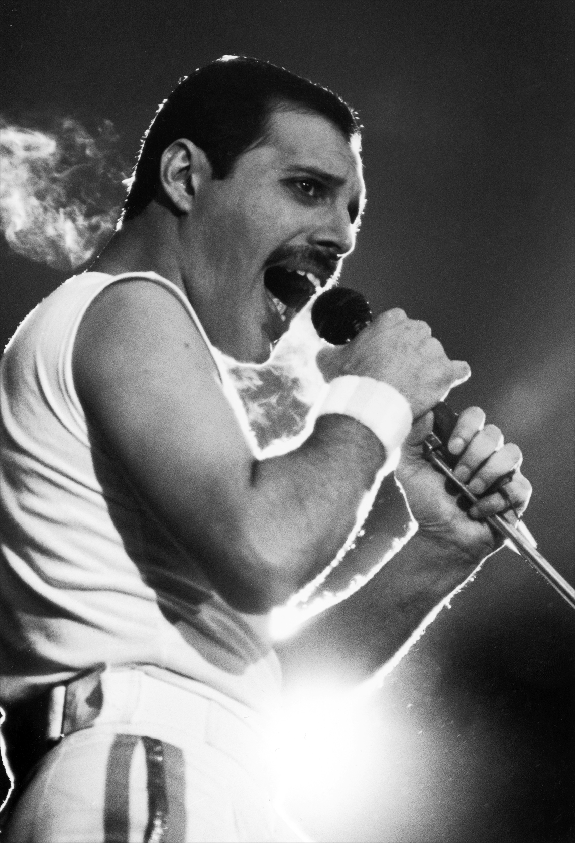 Freddie Mercury #13
