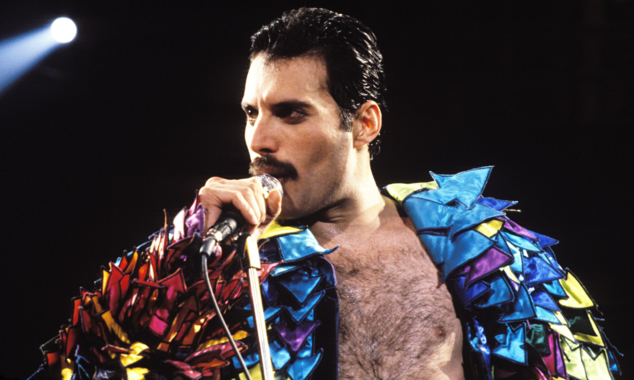 Freddie Mercury #15