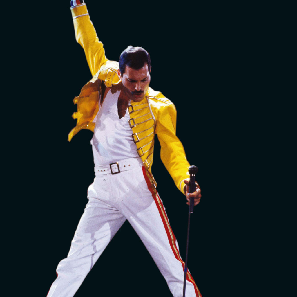 HD Quality Wallpaper | Collection: Music, 1024x1023 Freddie Mercury