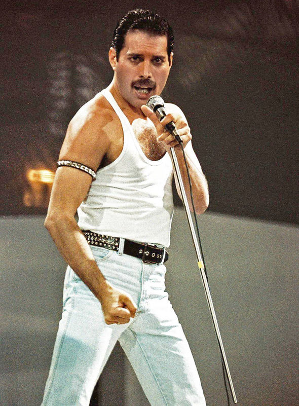 Freddie Mercury #3