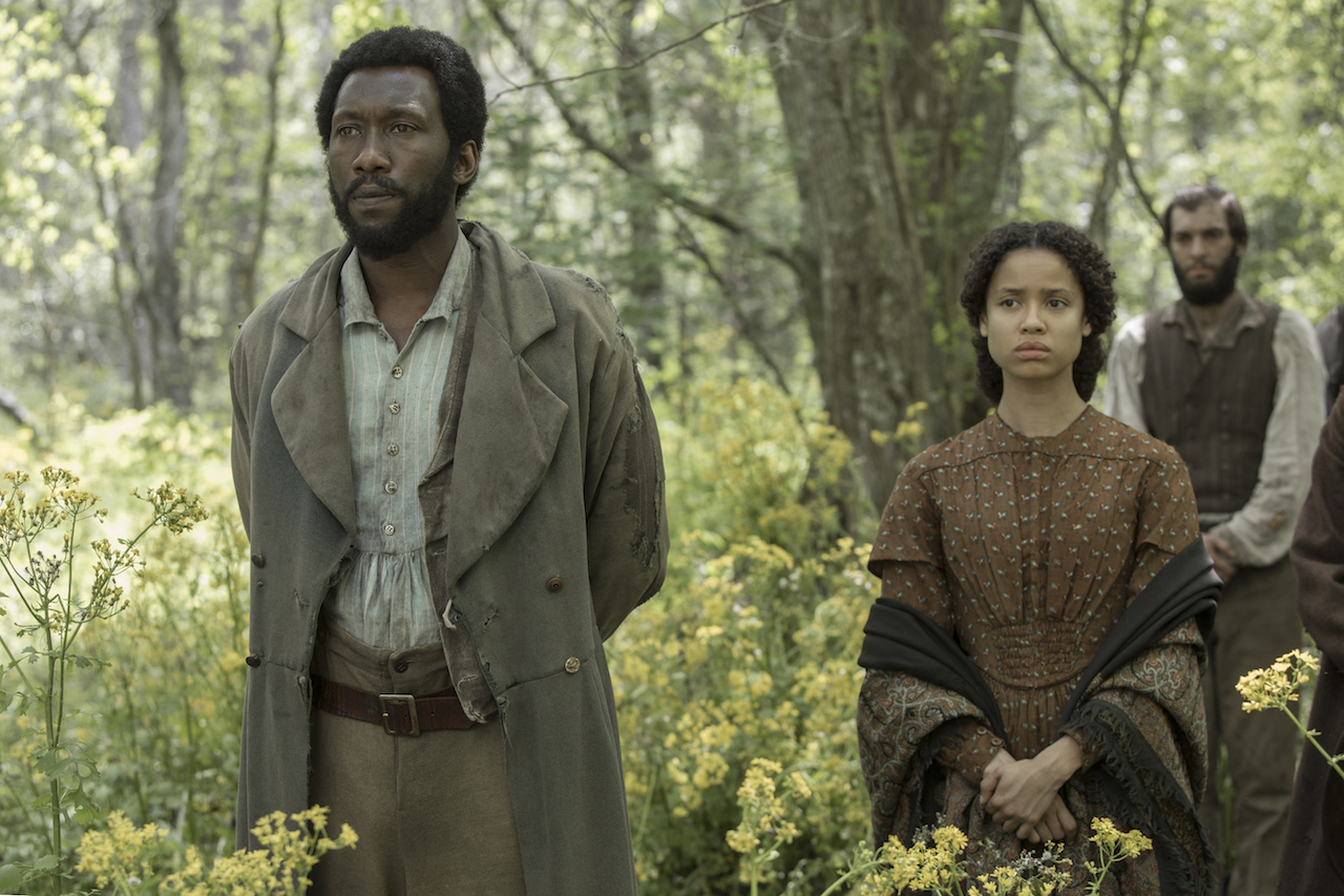 Free State Of Jones Pics, Movie Collection