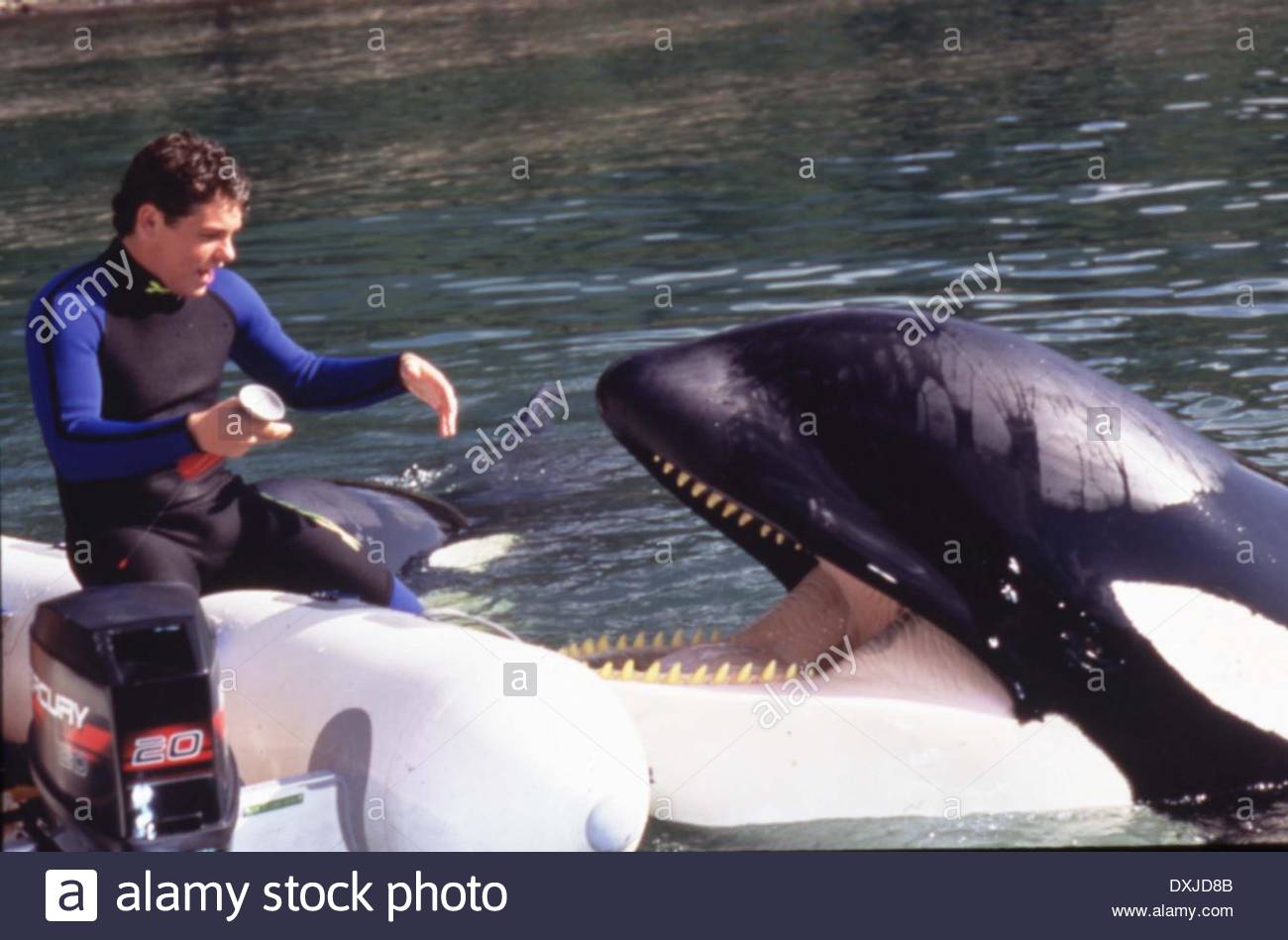 Amazing Free Willy 3: The Rescue Pictures & Backgrounds