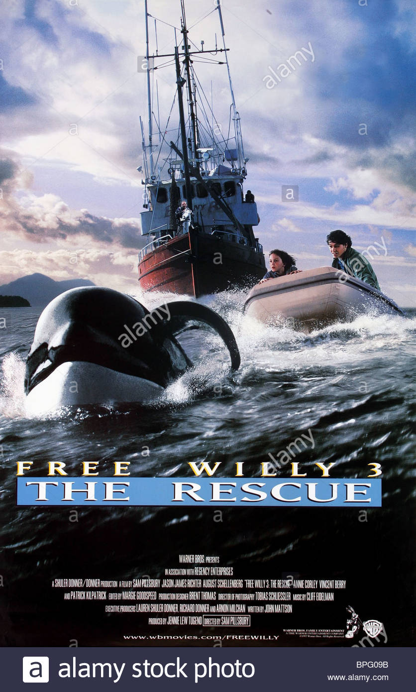 Free Willy 3: The Rescue Backgrounds, Compatible - PC, Mobile, Gadgets| 836x1390 px