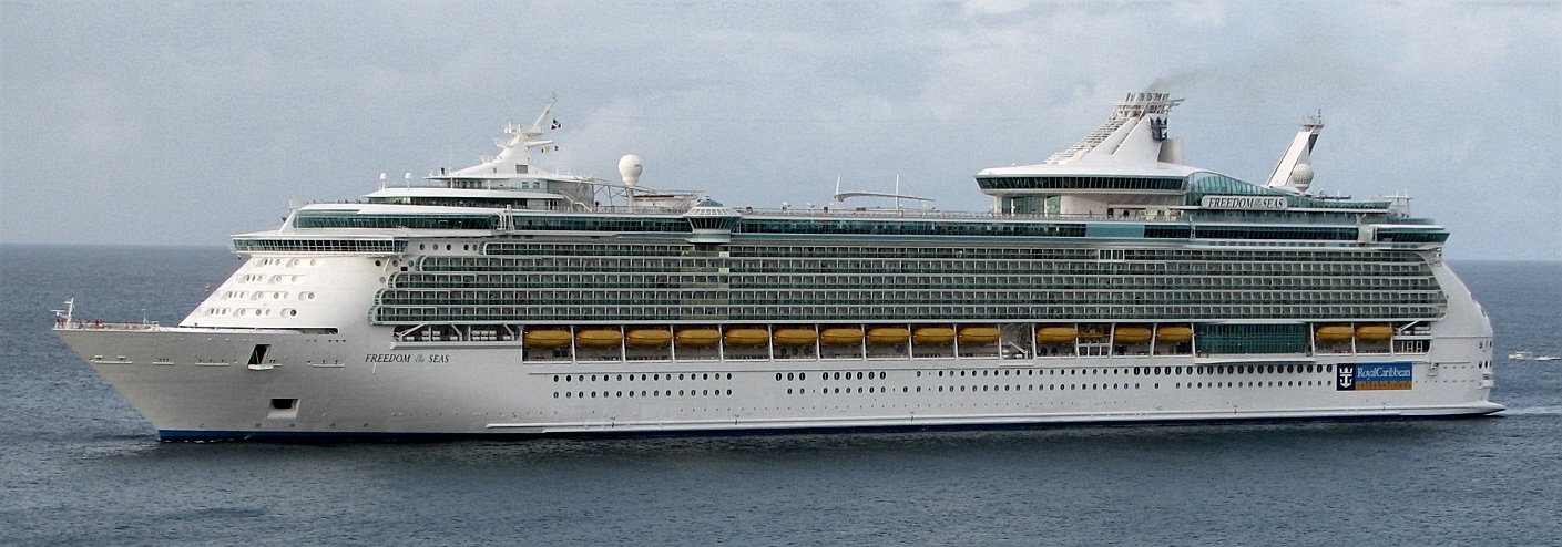 Nice wallpapers Freedom Of The Seas 1409x494px