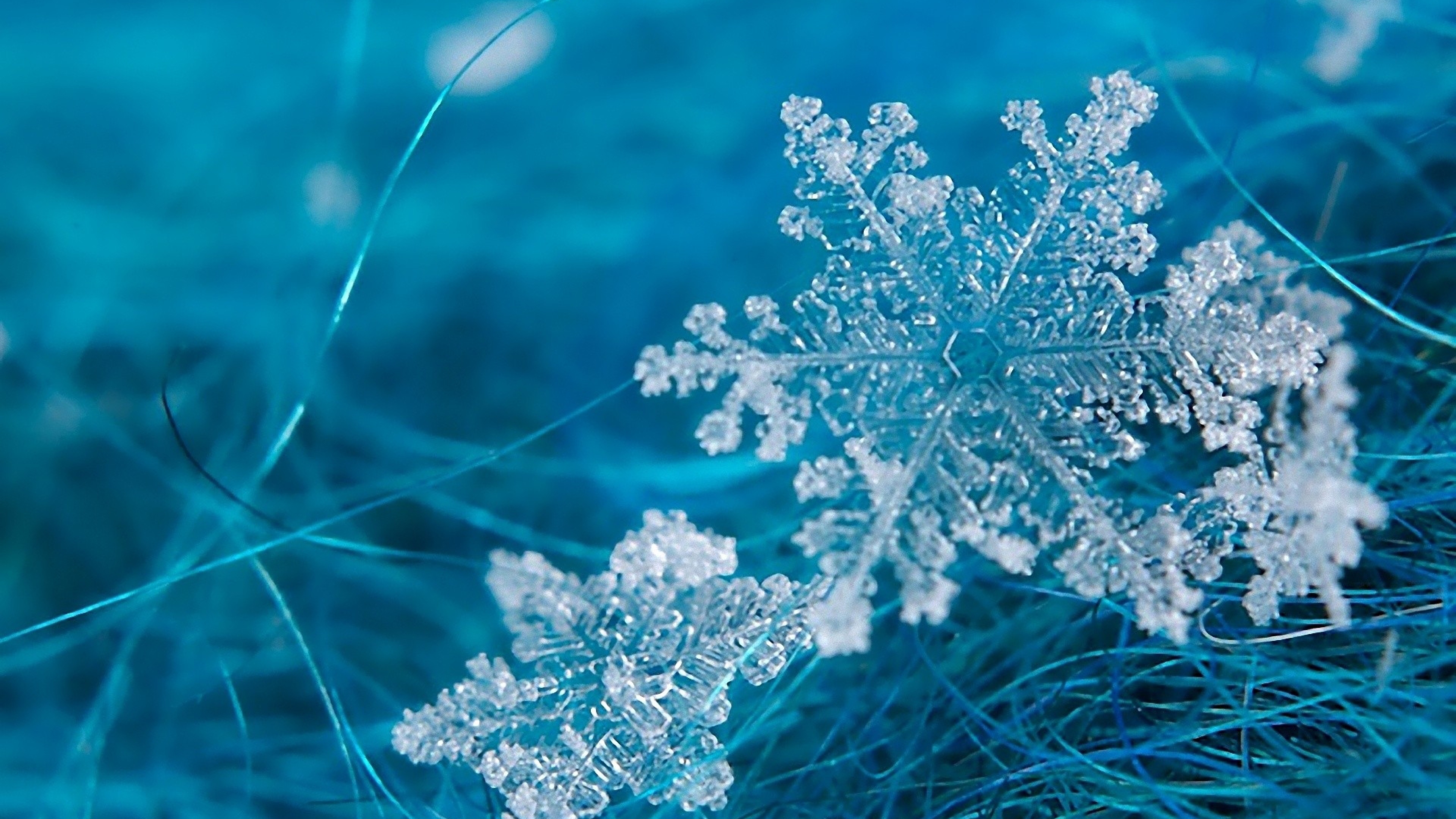 Amazing Frost Pictures & Backgrounds