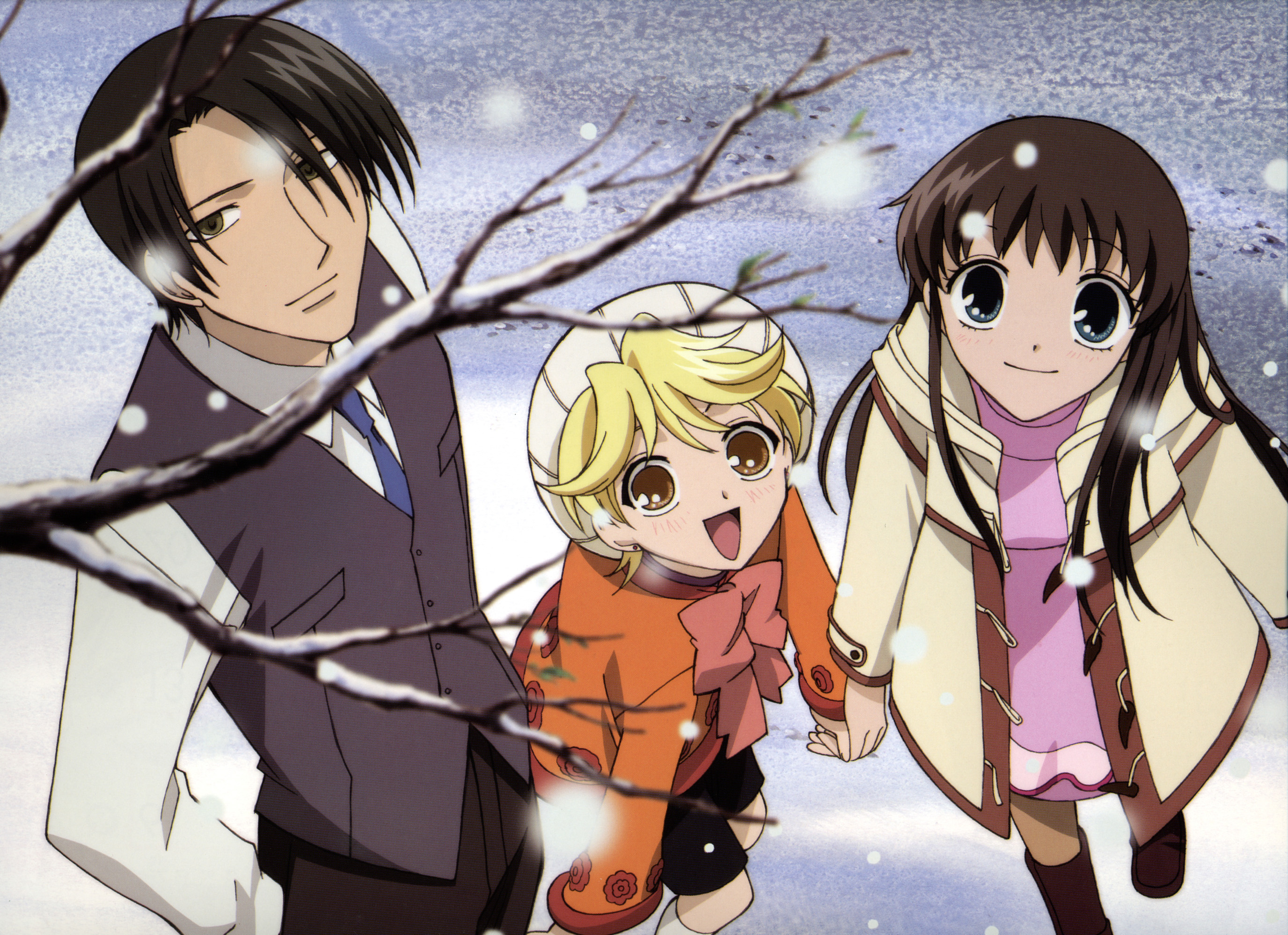 Nice wallpapers Fruits Basket 2752x2000px