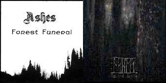 Funeral Forest Backgrounds, Compatible - PC, Mobile, Gadgets| 342x172 px