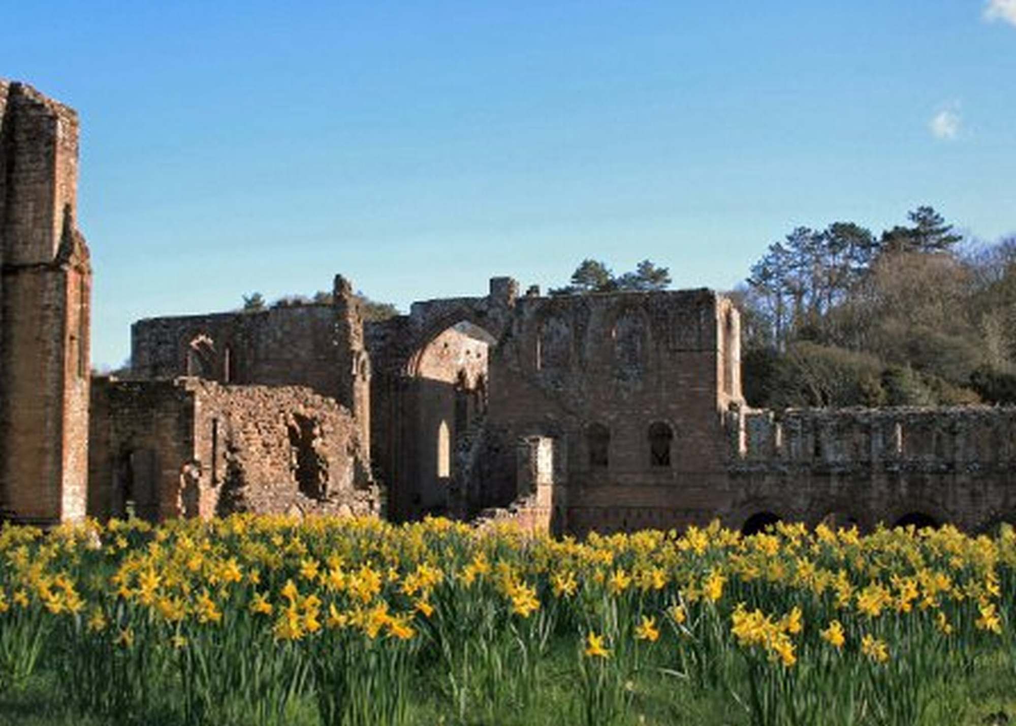 Images of Furness Abbey | 2000x1429