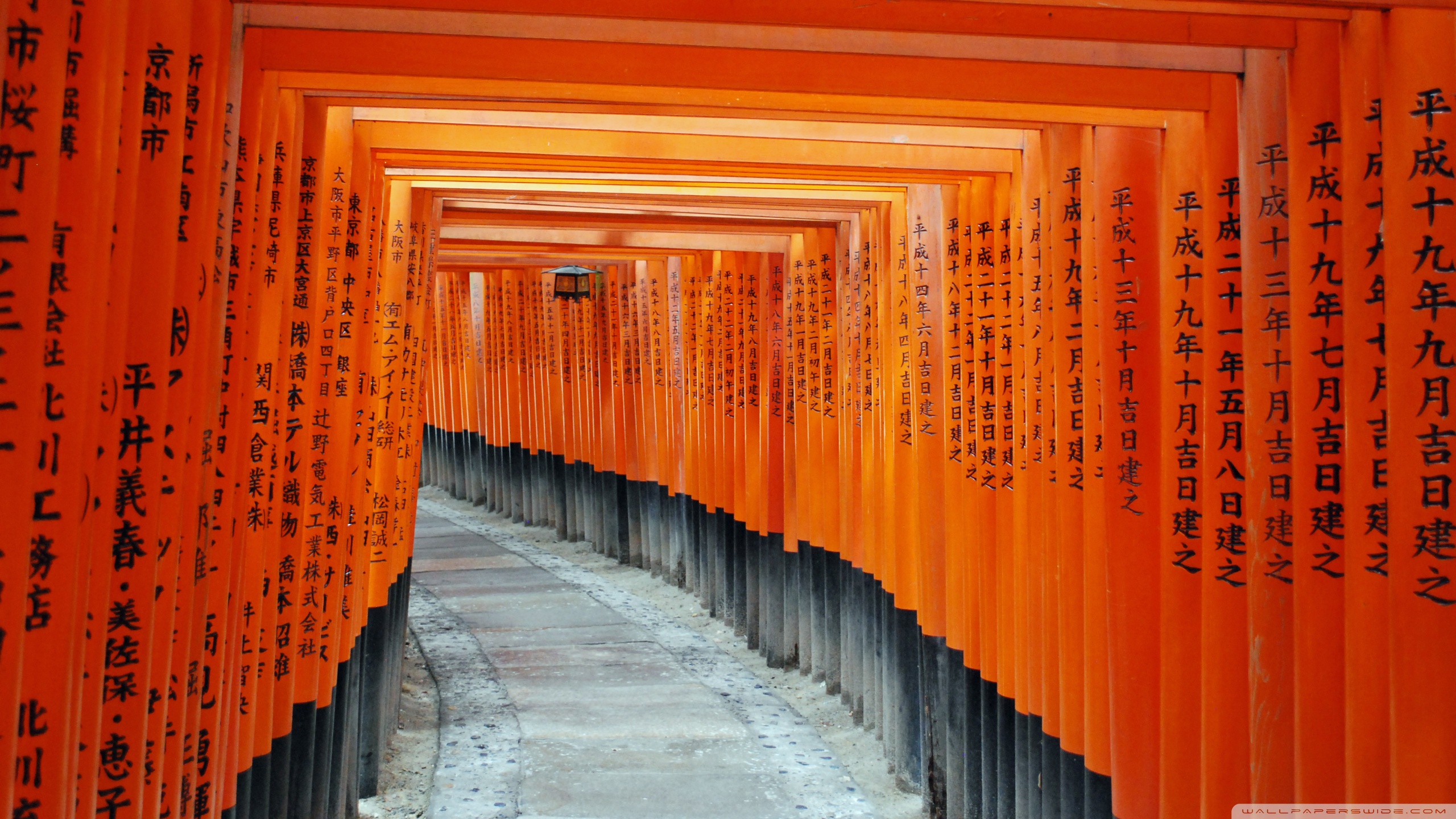 Nice wallpapers Fushimi Inari-taisha 2560x1440px