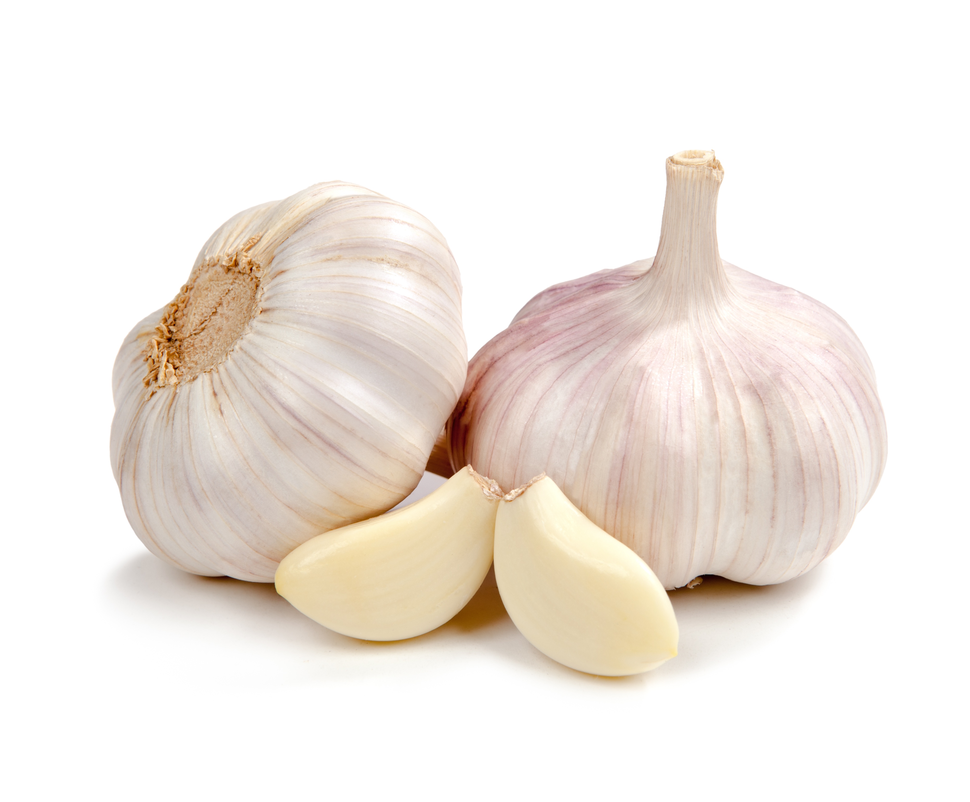 Garlic Backgrounds on Wallpapers Vista