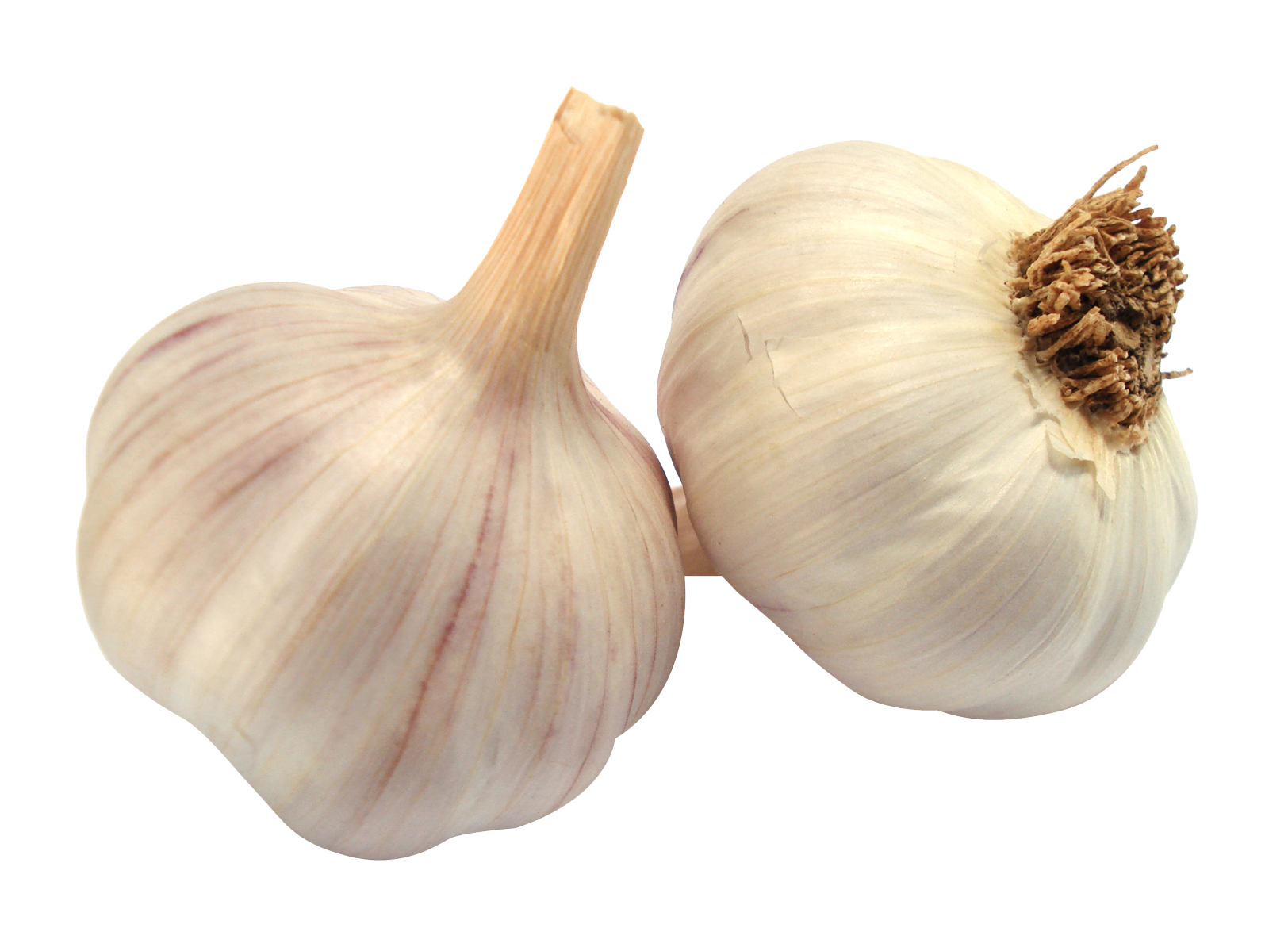 Images of Garlic | 1624x1199