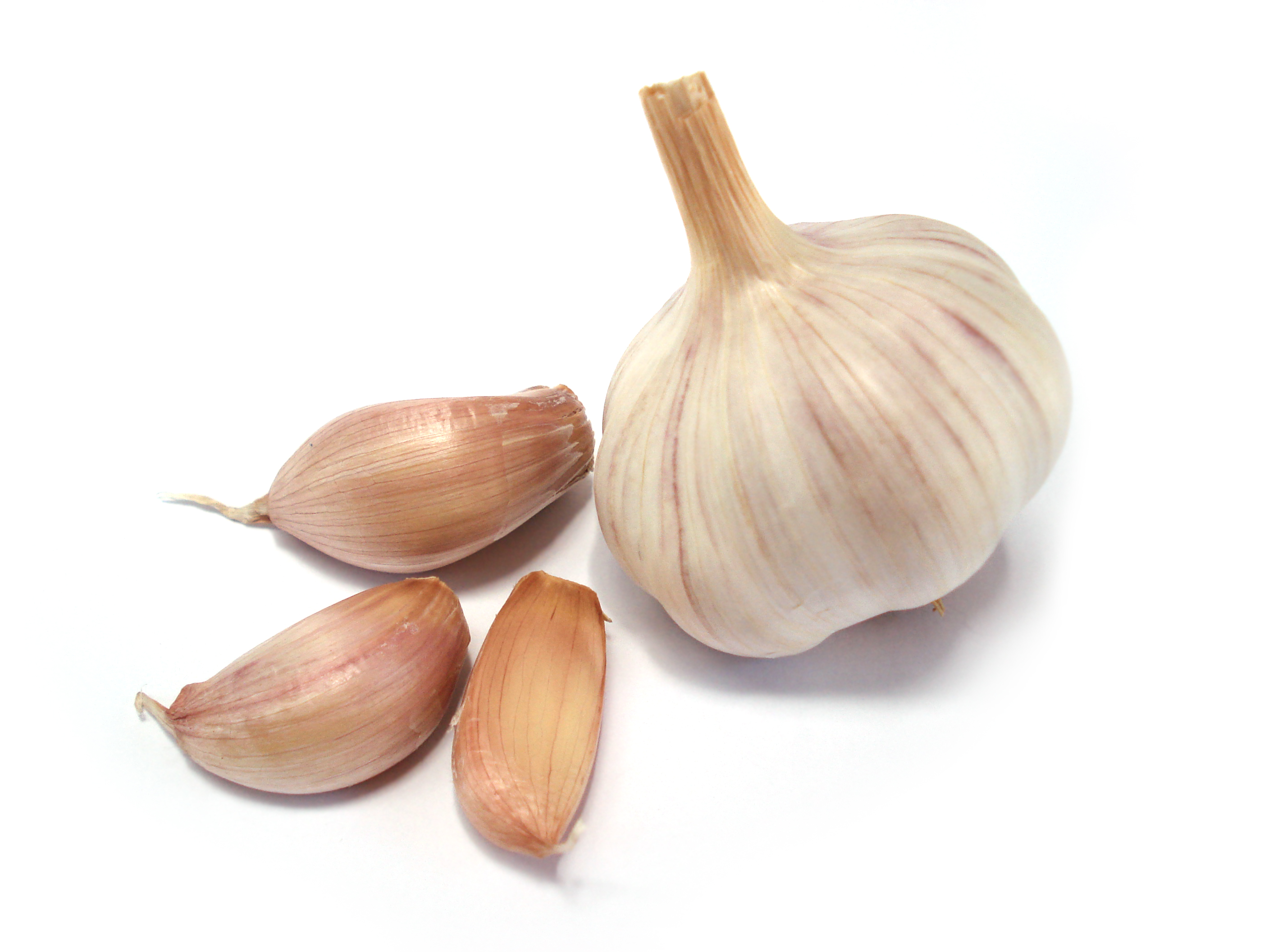 Garlic High Quality Background on Wallpapers Vista