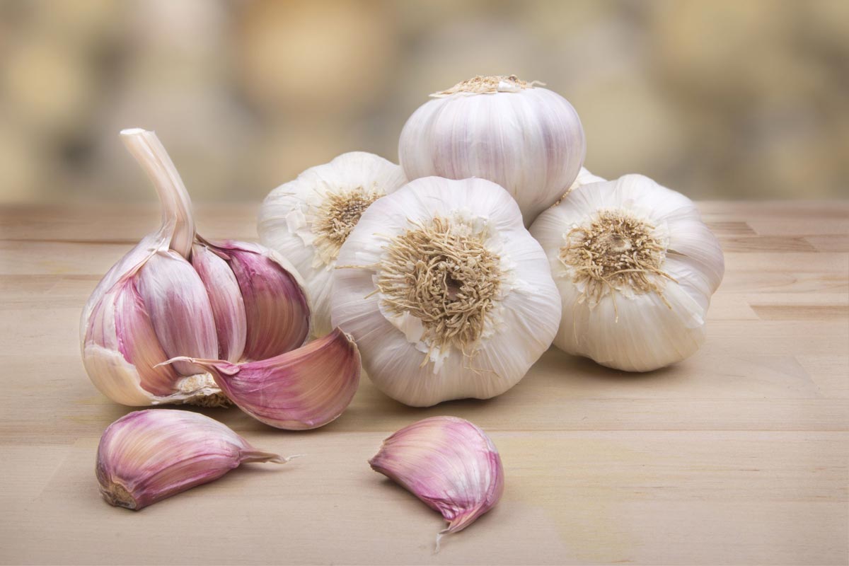 Amazing Garlic Pictures & Backgrounds