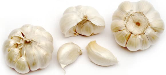 Garlic #13