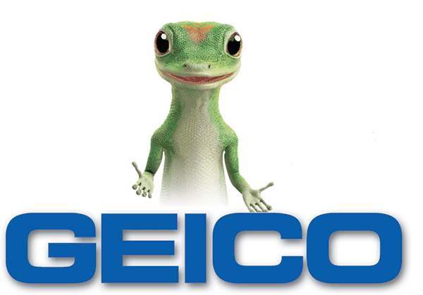 Geico Backgrounds, Compatible - PC, Mobile, Gadgets| 600x419 px