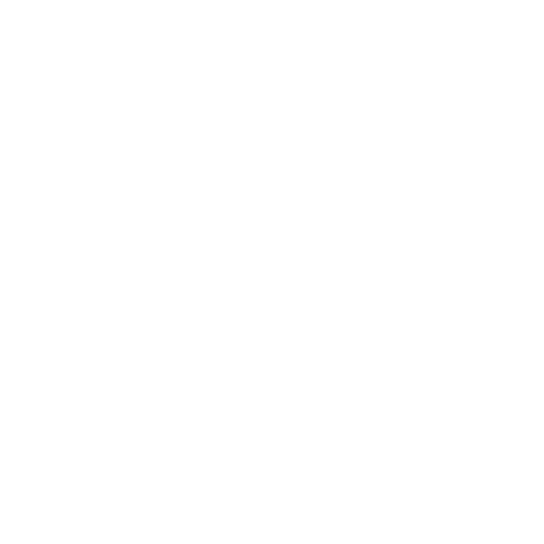 General Electric #16
