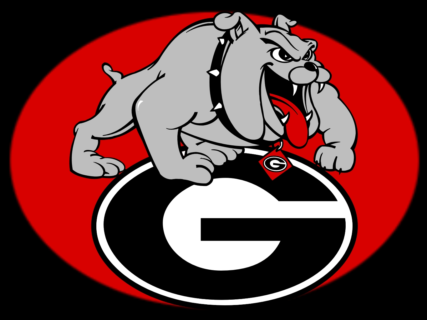 Georgia Bulldogs #4