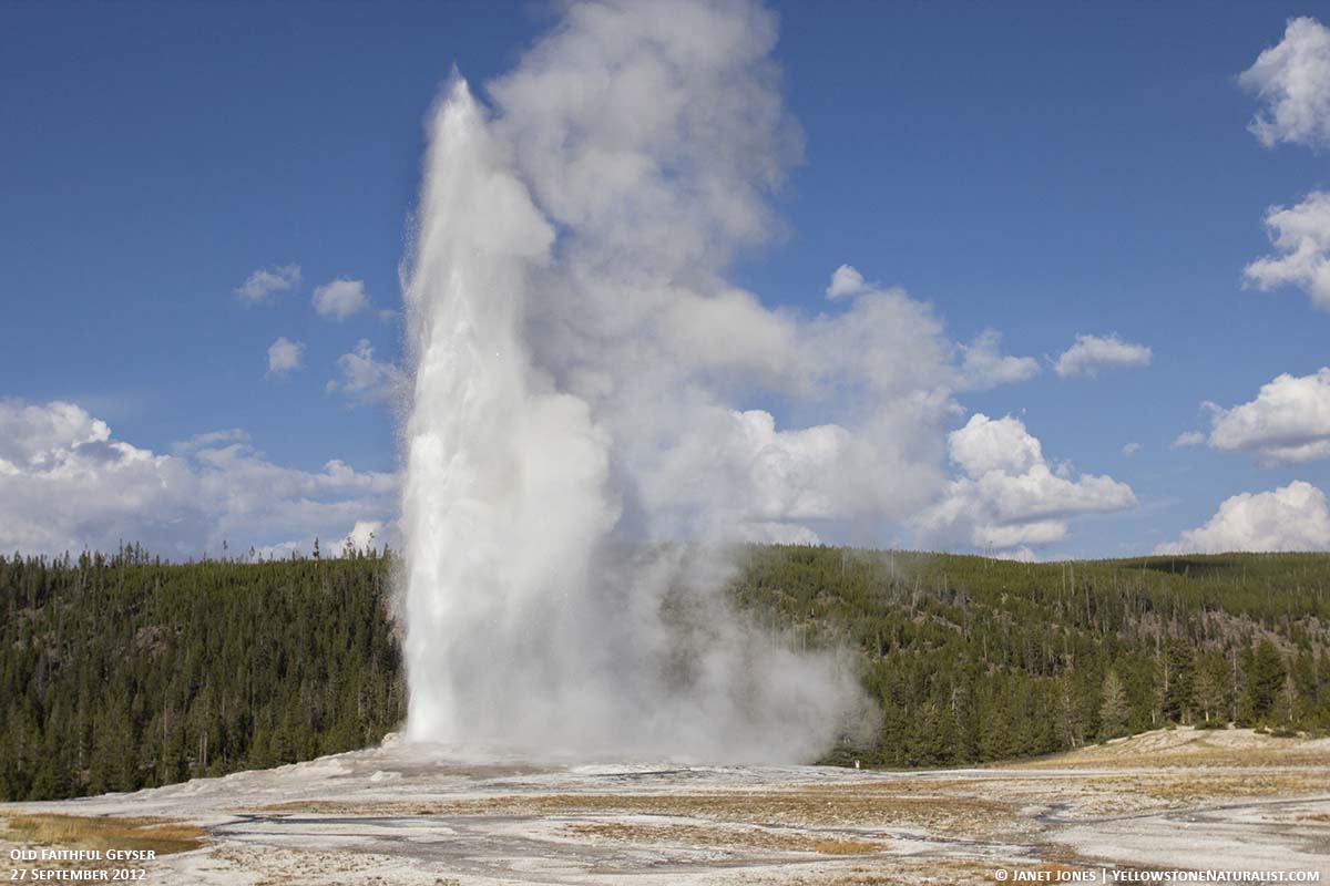 Geyser Pics, Earth Collection