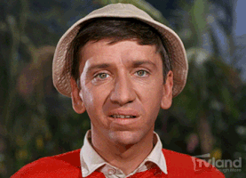 Gilligan's Island High Quality Background on Wallpapers Vista