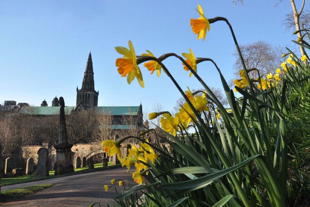 Nice wallpapers Glasgow Cathedral 1280x853px
