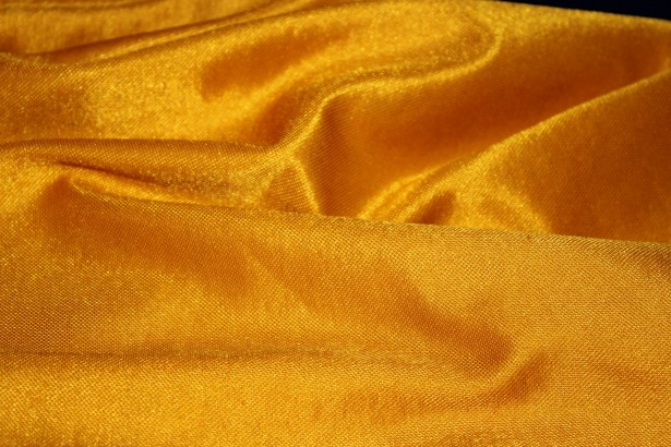 Gold Cloth #11