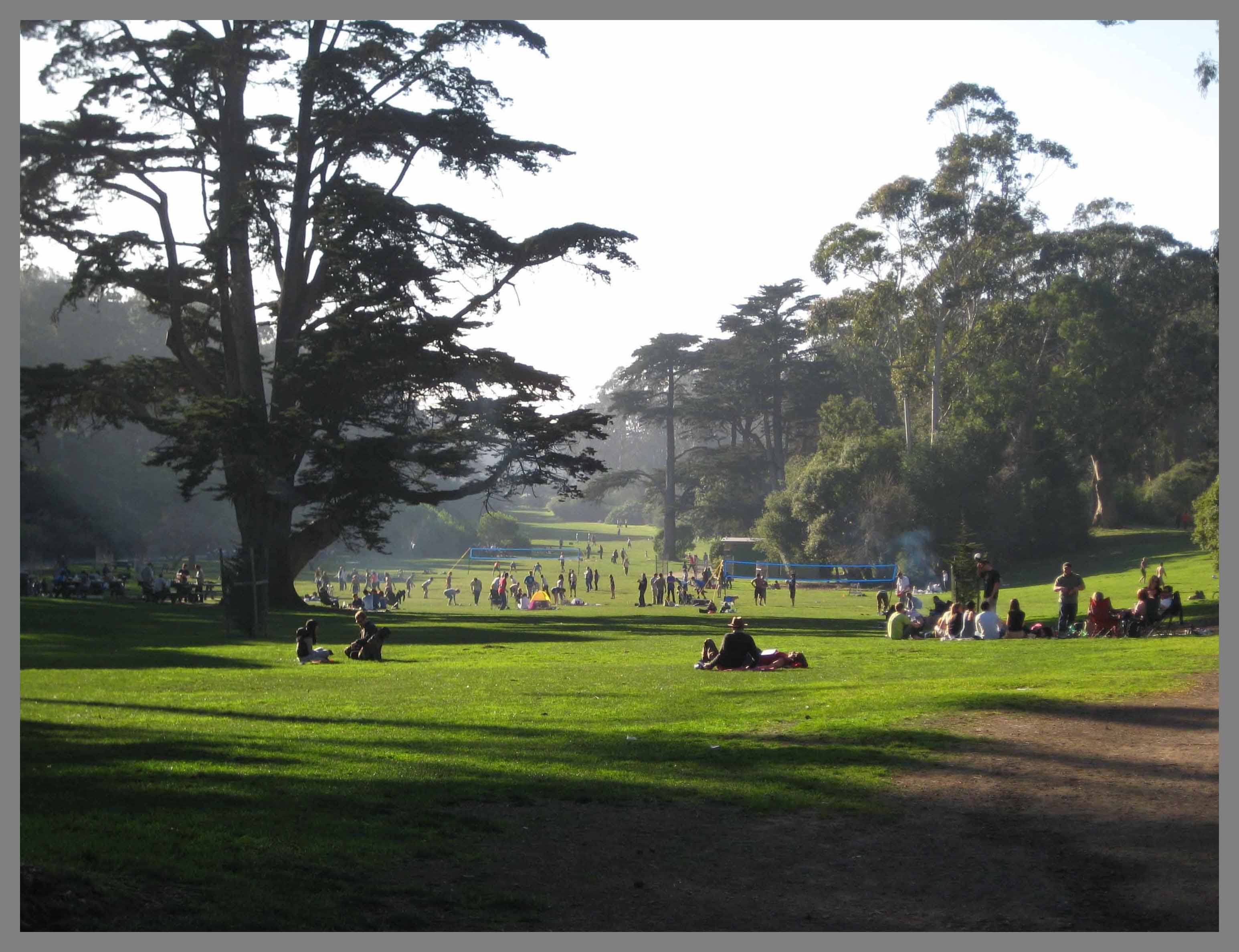 Golden Gate Park Backgrounds on Wallpapers Vista