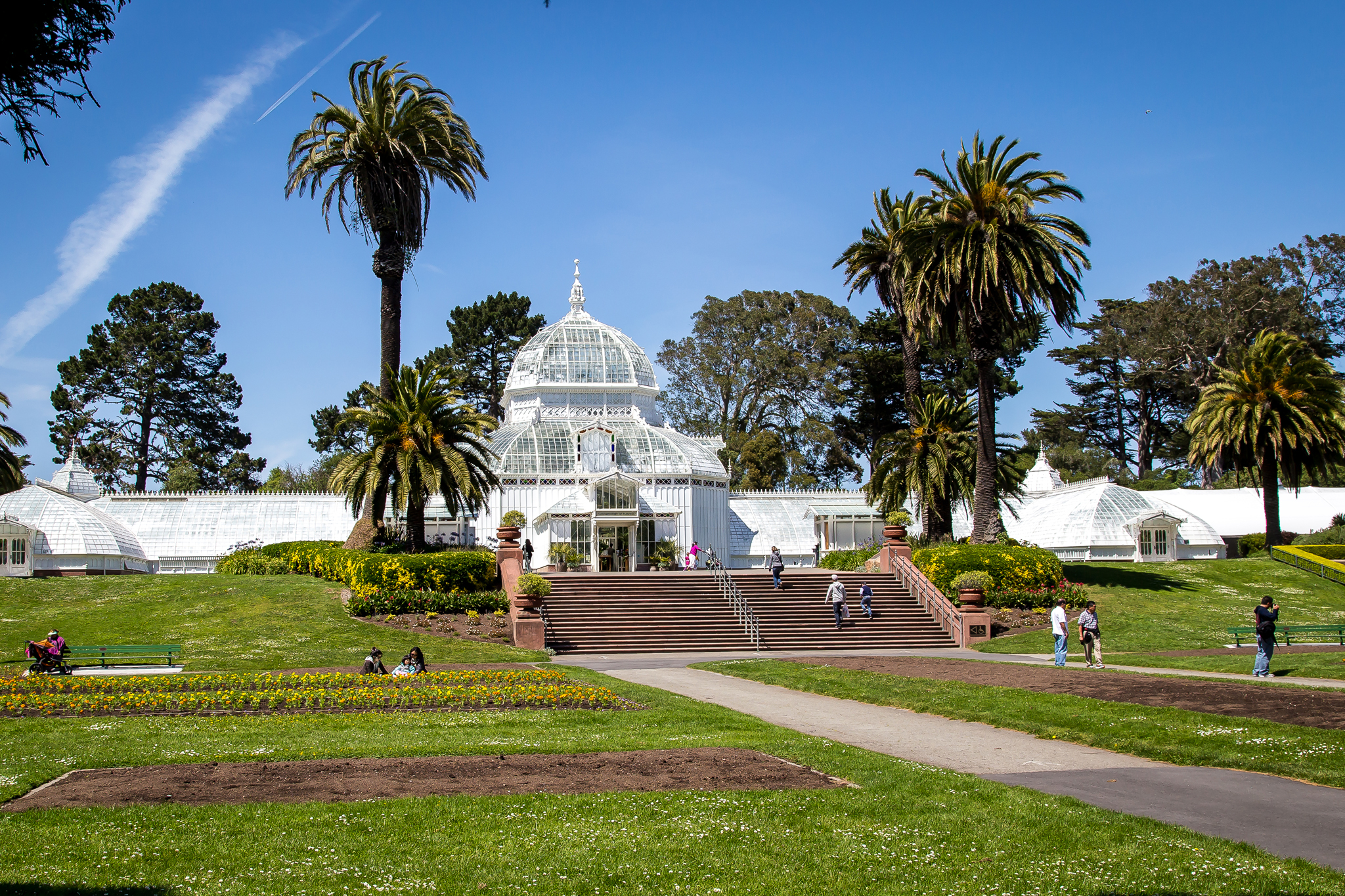 Golden Gate Park #5