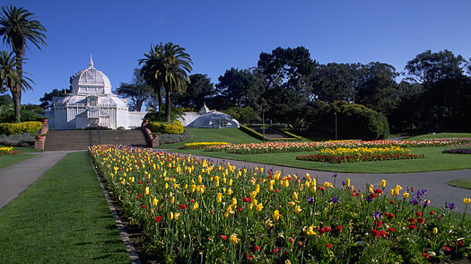 Golden Gate Park #12