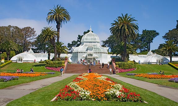 Golden Gate Park Pics, Man Made Collection