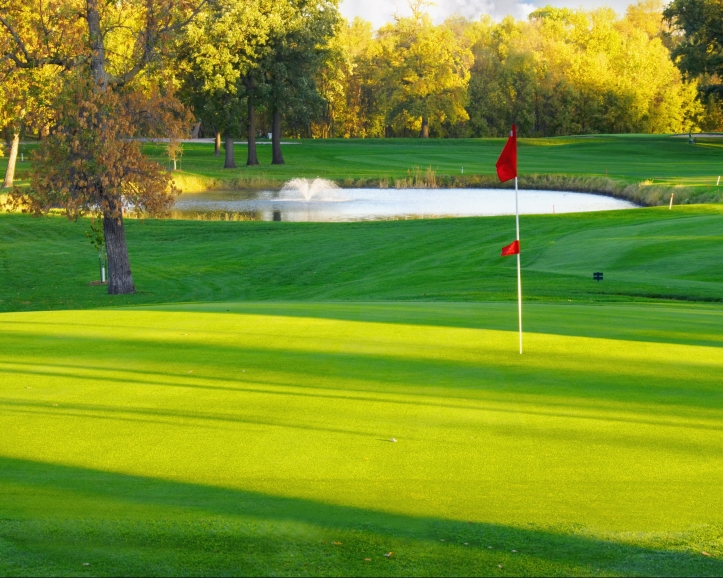 Golf Course #16