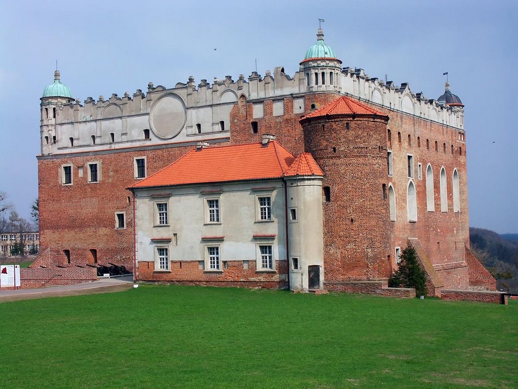 Golub-Dobrzyn Castle #1