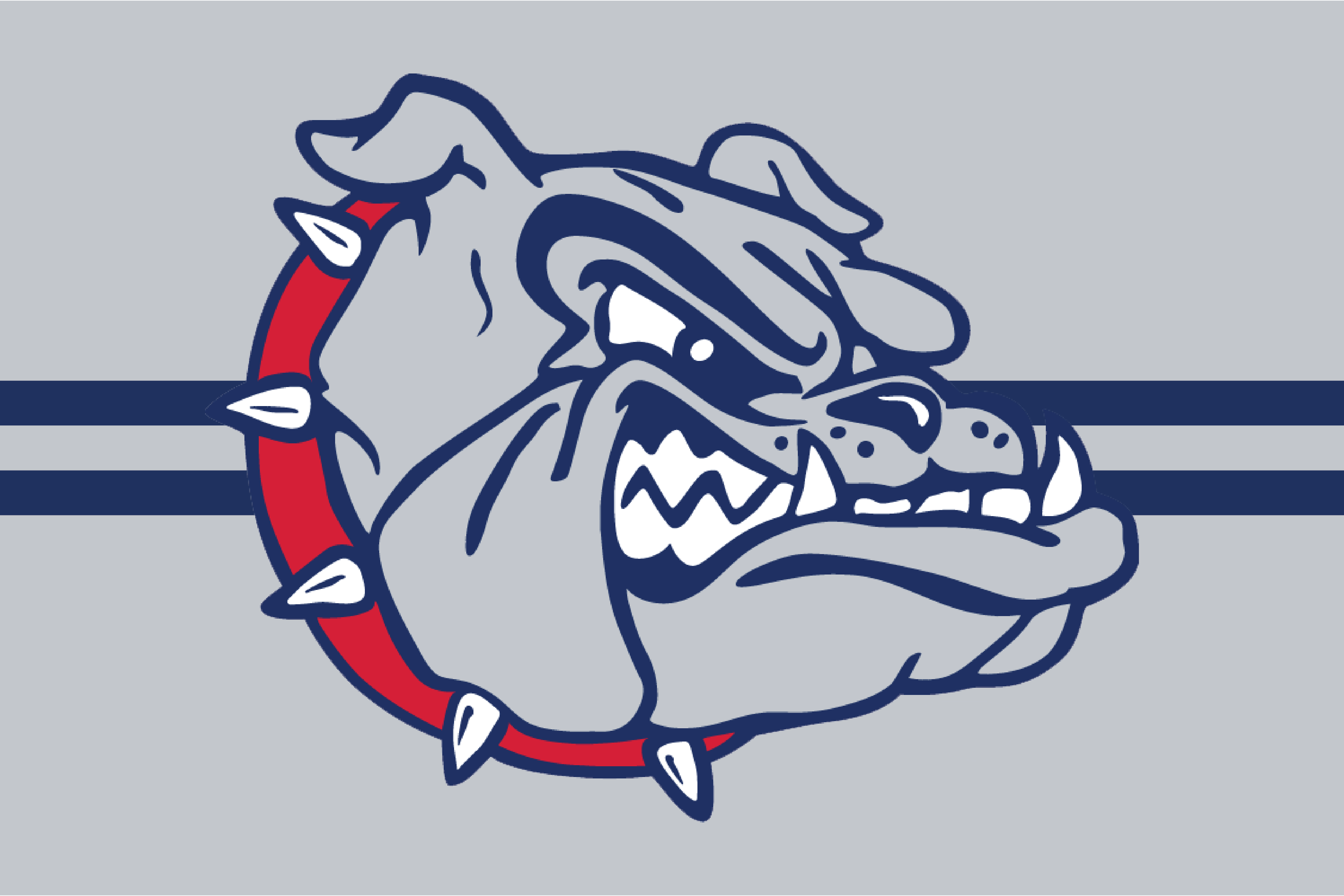 Gonzaga Bulldogs #6