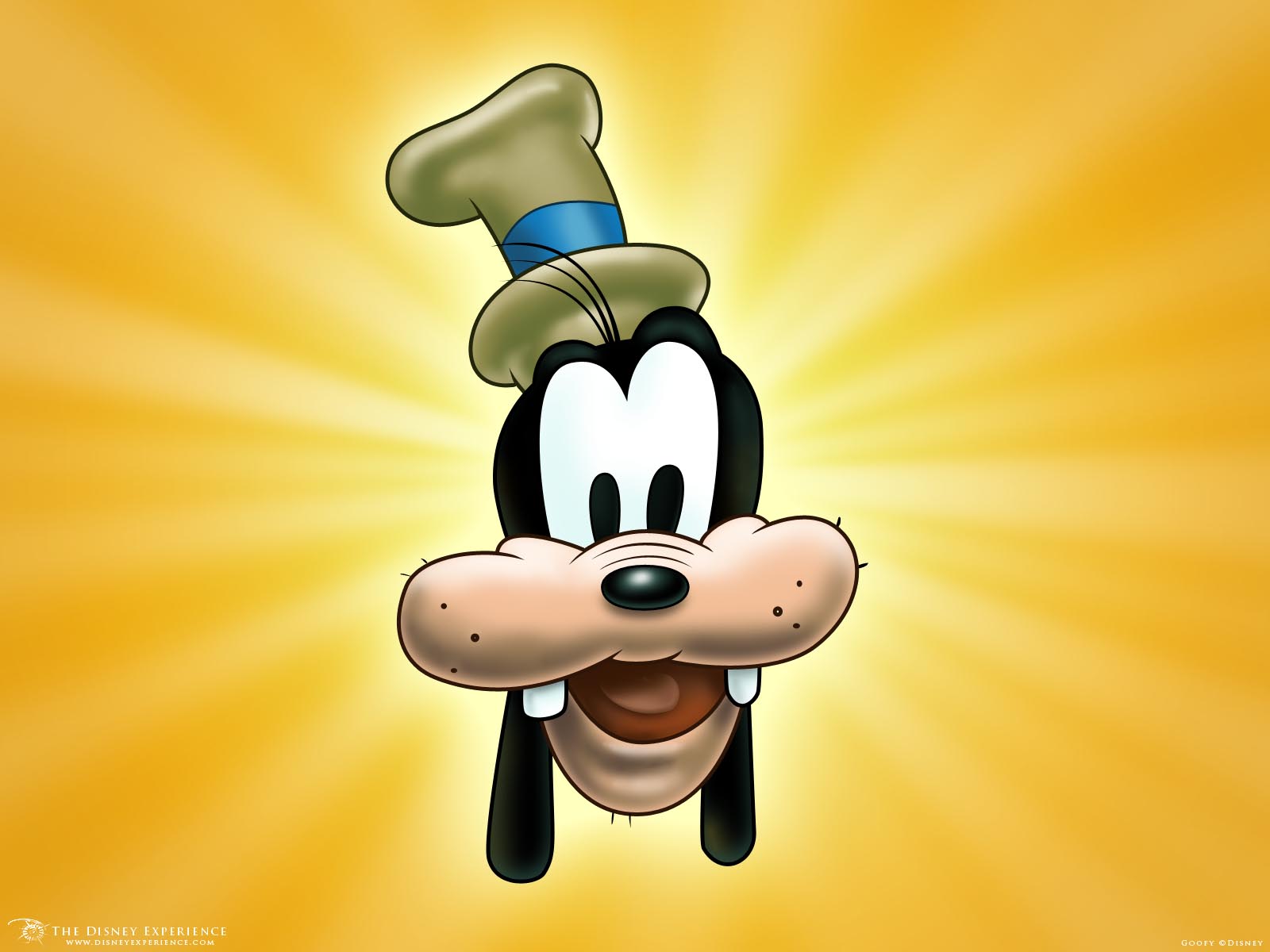 HQ Goofy Wallpapers | File 79.4Kb