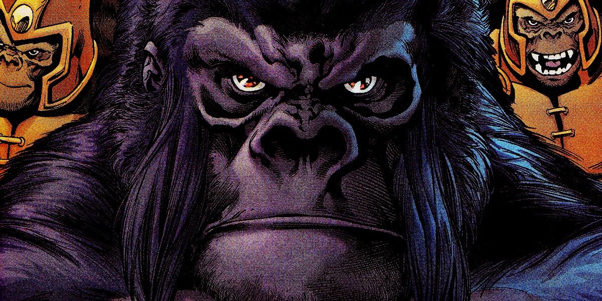 Amazing Gorilla Grodd Pictures & Backgrounds