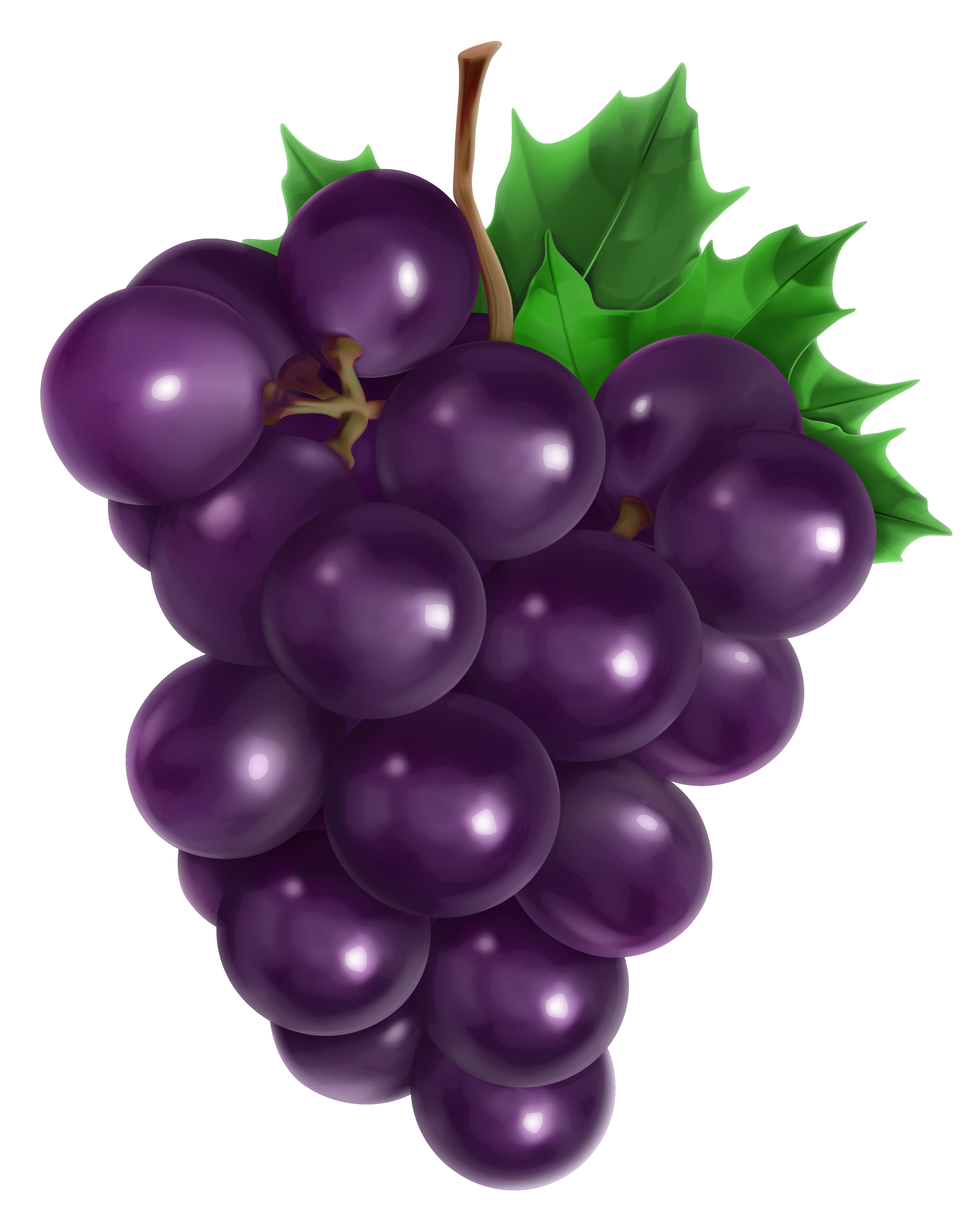 Grapes #8