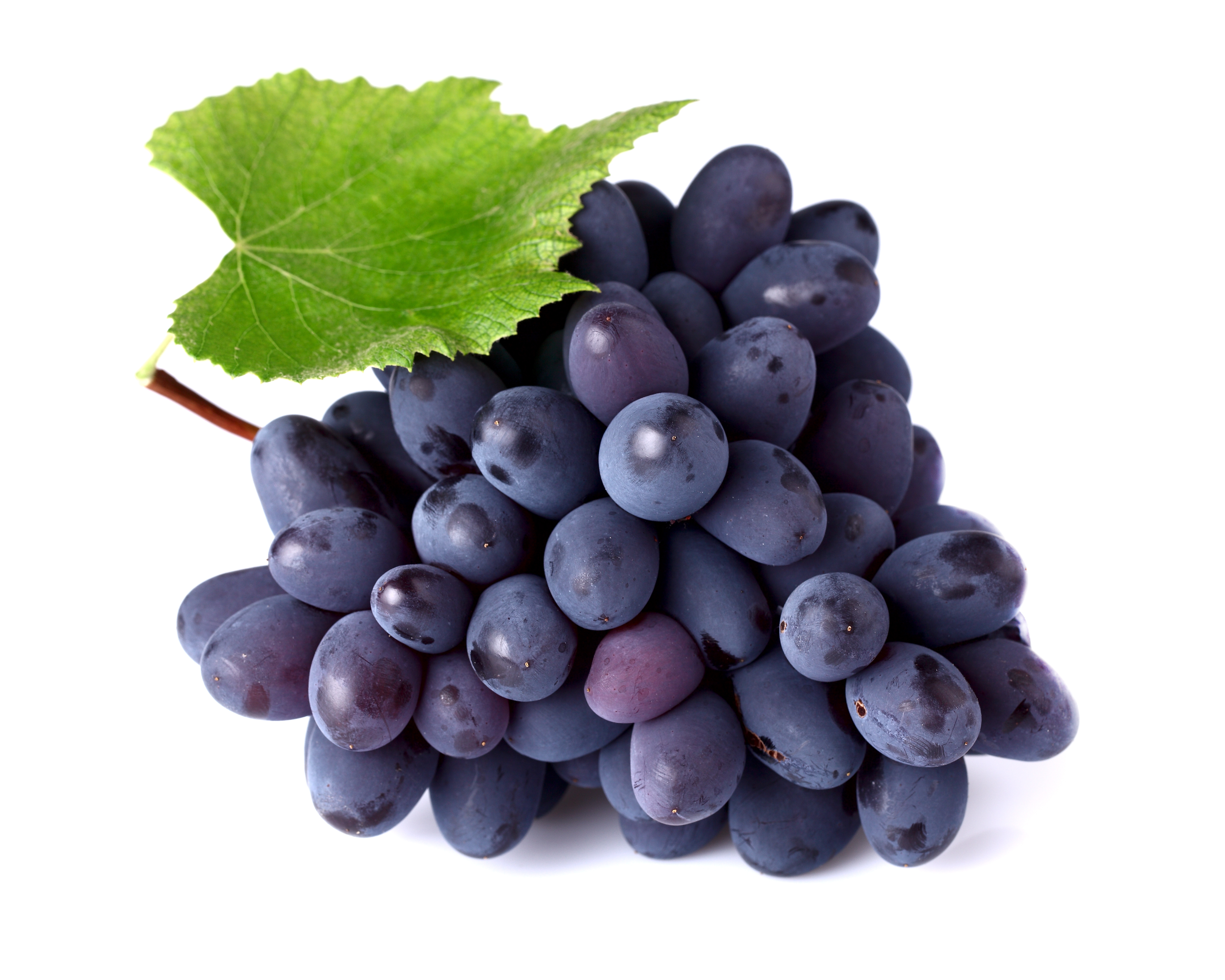 Grapes #9