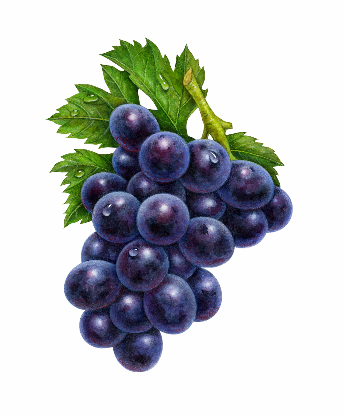 Grapes #6