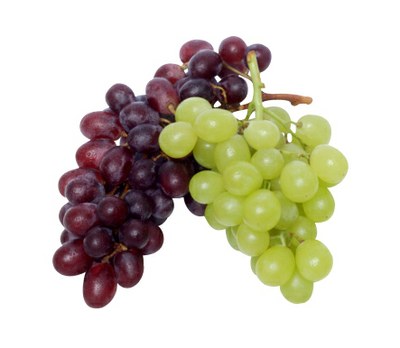 Grapes #21