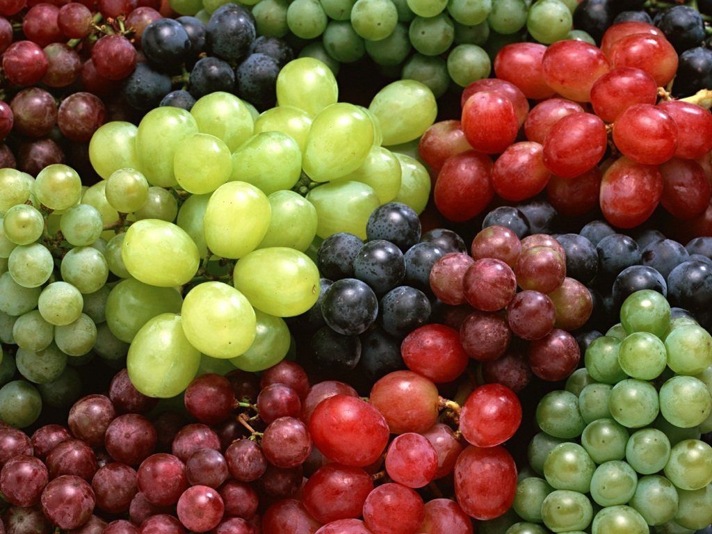 Grapes #22