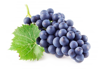 Grapes Backgrounds on Wallpapers Vista