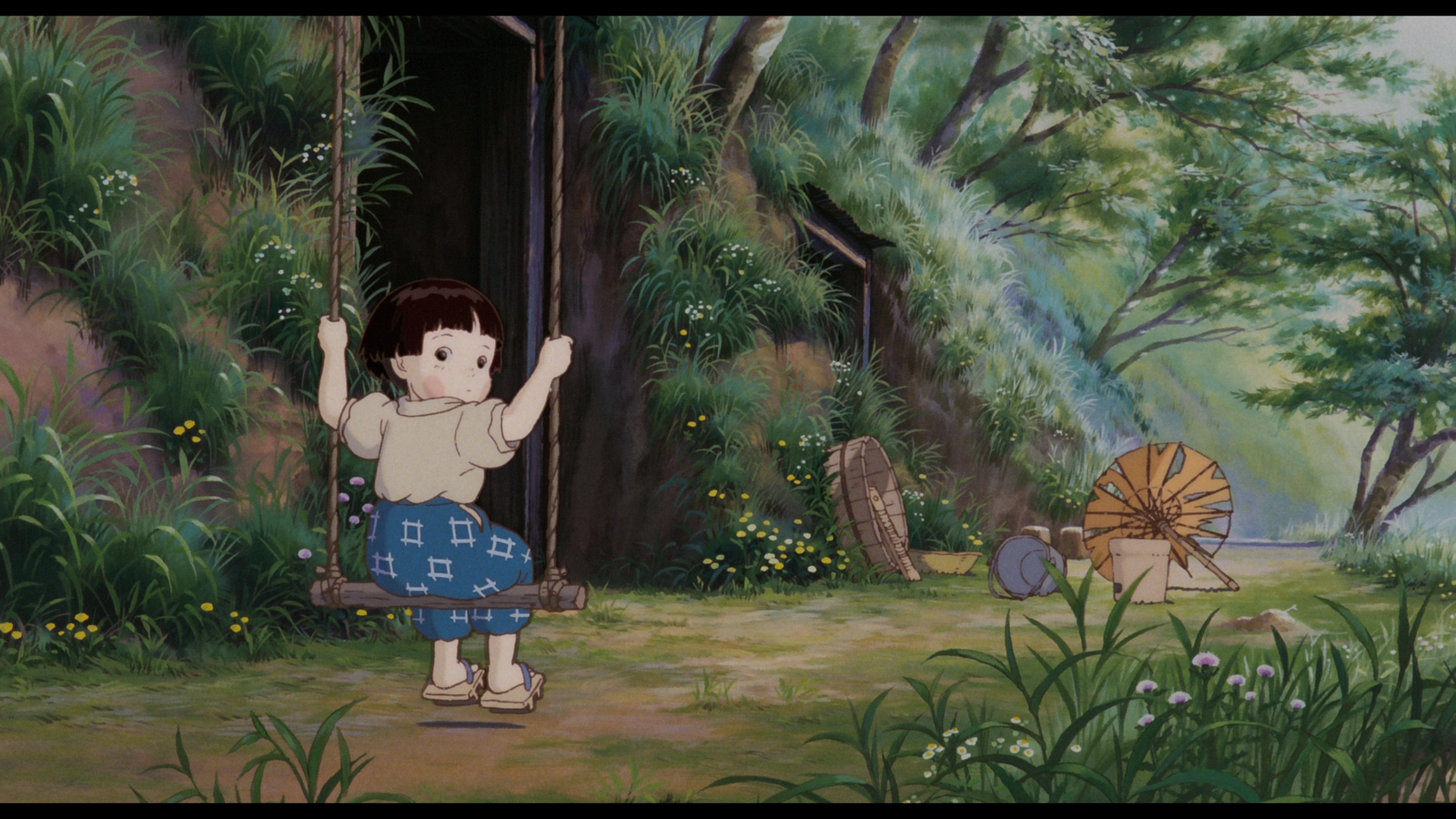 Grave Of The Fireflies #18