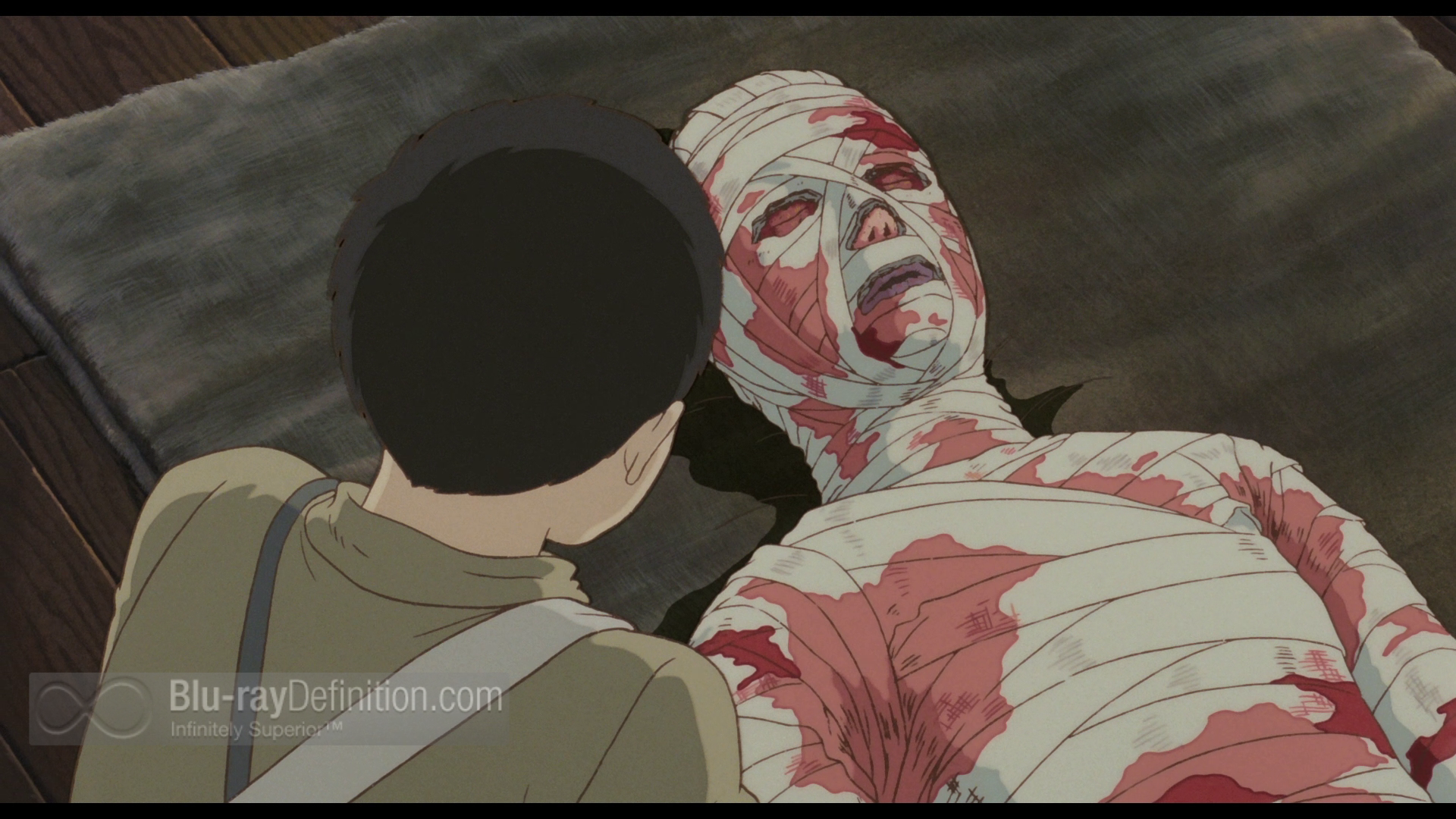 Grave Of The Fireflies #22