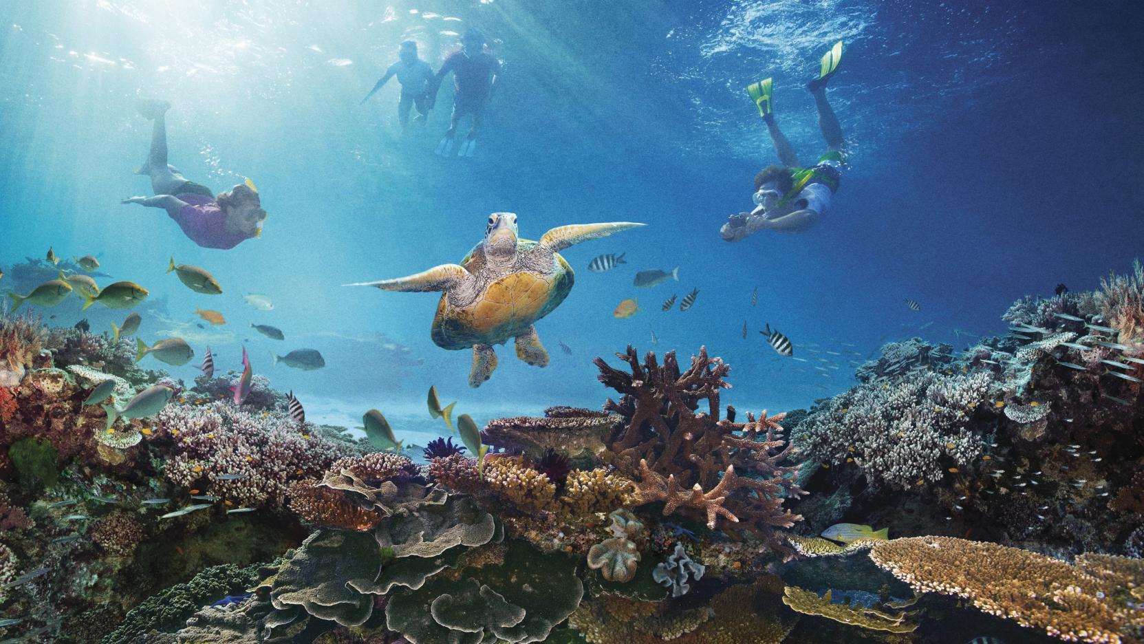 Nice Images Collection: Great Barrier Reef Desktop Wallpapers