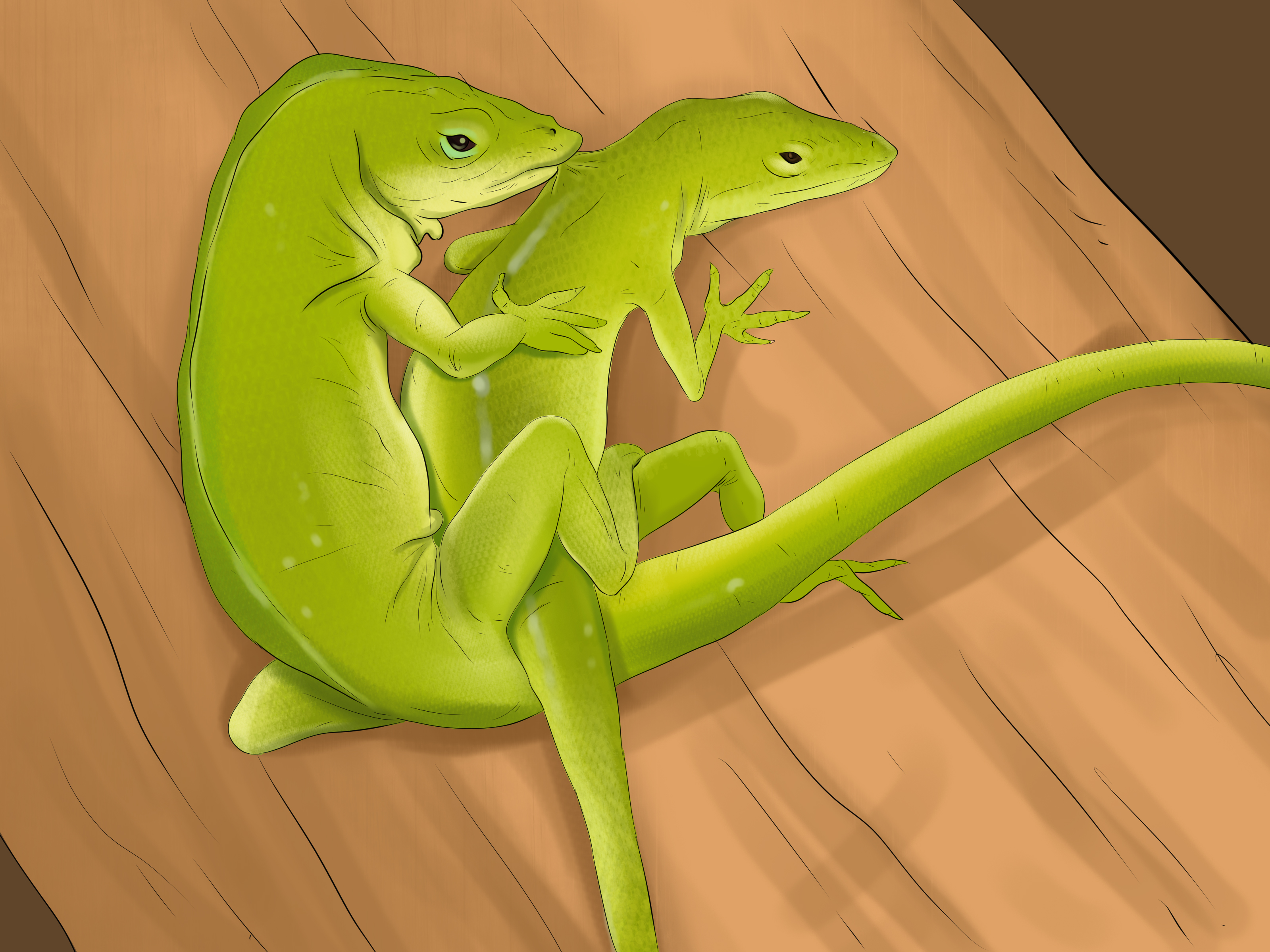 Green Anole #8 