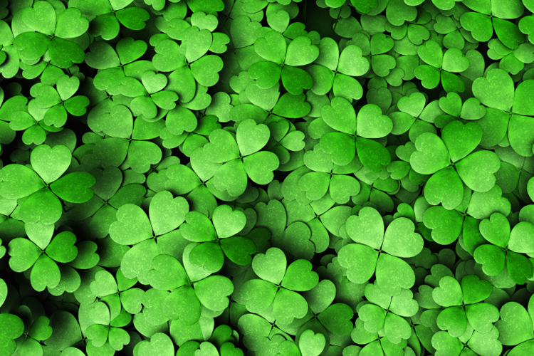 Green Backgrounds, Compatible - PC, Mobile, Gadgets| 750x500 px
